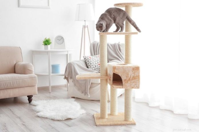 DIY Cat Tree: Build a Custom Play Tower for Your Feline Friend