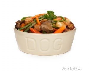 Knowing When to Change Your Pet’s Food for Optimal Health