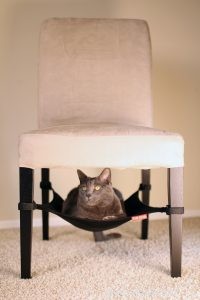Latest Innovations in Cat Beds: Comfort and Style for Your Feline Friend