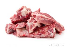 Selecting Premium Pet Food for Dogs & Cats: Expert Tips