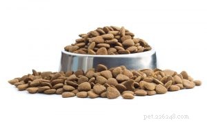 Selecting Premium Pet Food for Dogs & Cats: Expert Tips