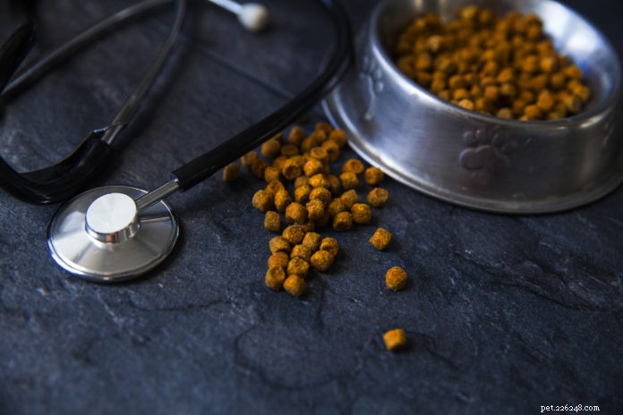 Is Your Pet’s Diet Threatening Their Heart? Expert Insights & Prevention Tips