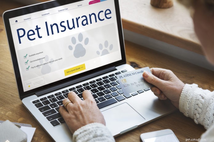 Pet Insurance: Enhancing Health, Longevity, and Quality of Life for Dogs and Cats