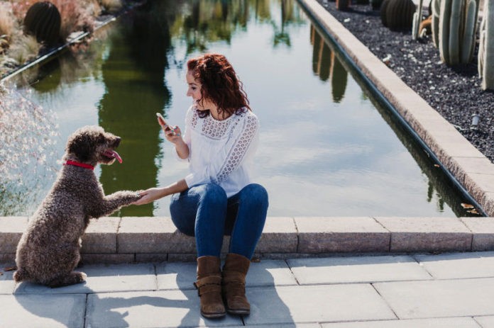 Launch & Grow Your Pet’s Instagram: A Step‑by‑Step Guide to #Instafamous Success
