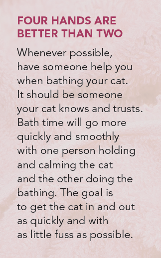 Make Cat Bathing Stress‑Free: Simple Steps for Calm, Safe Showers