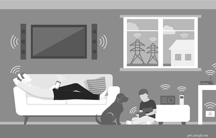 Electro‑Pollution and Your Pet: Health Risks and Protective Measures