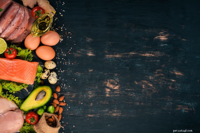 Paleo Diet for Pets: How to Feed Your Dog or Cat Like Their Ancestors