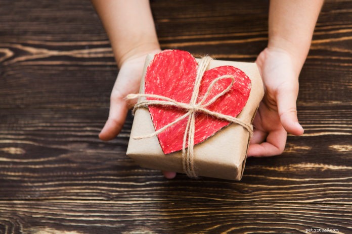 Shop with Purpose: Help Homeless Dogs & Cats This Holiday