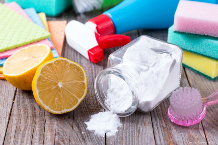 Pet-Friendly Household Cleaners: Safe Choices for Your Home