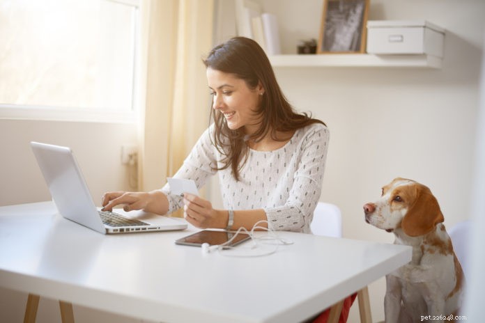 How to Safely Buy Pet Medications Online