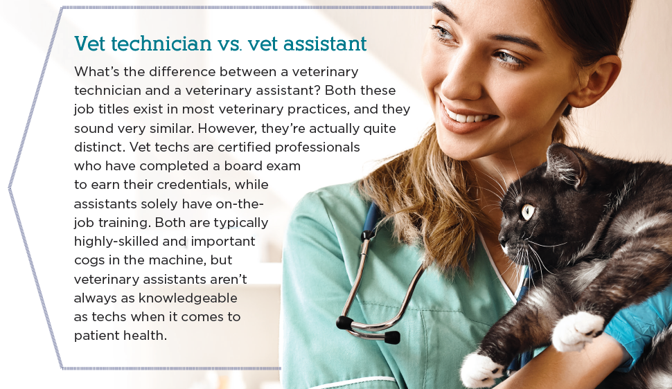 The Vital Role of Veterinary Technicians in Your Pet’s Care