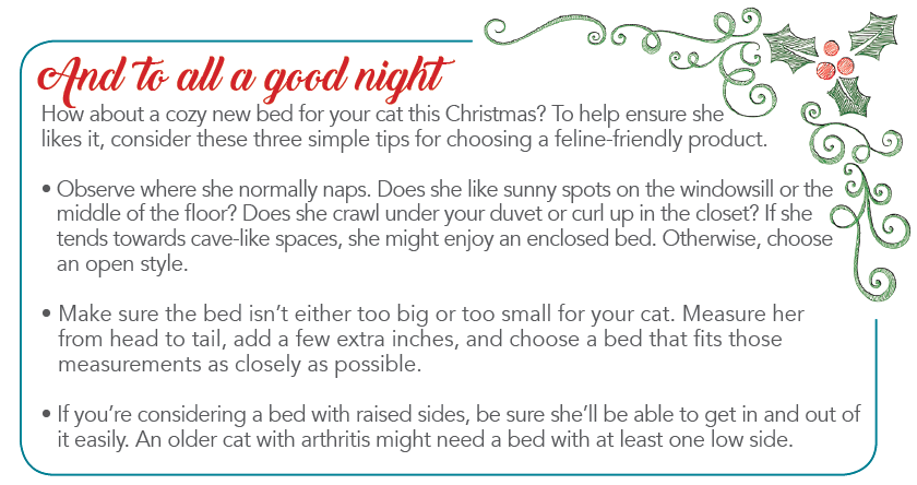 Top Holiday Gifts to Keep Your Cat Calm & Happy