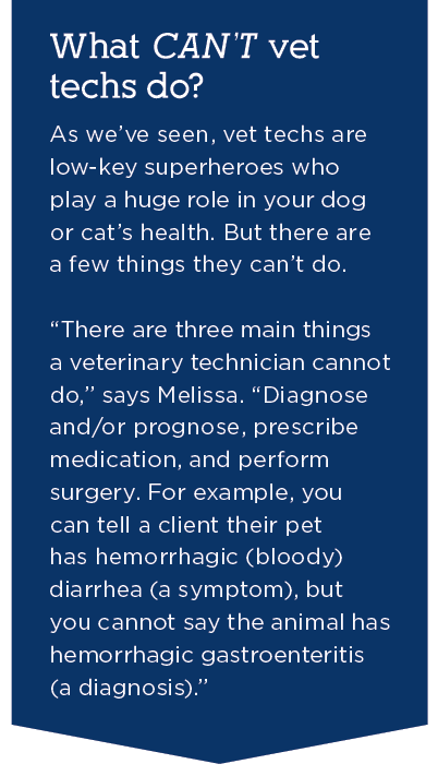 The Vital Role of Veterinary Technicians in Your Pet’s Care