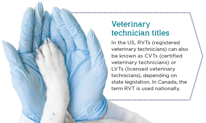 The Vital Role of Veterinary Technicians in Your Pet’s Care