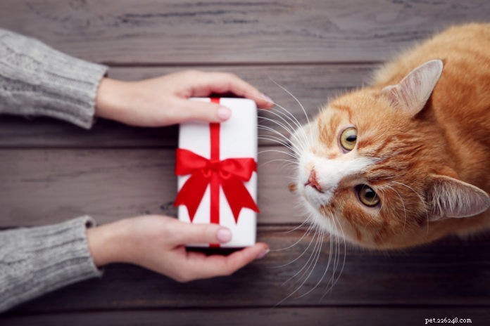 Top Holiday Gifts to Keep Your Cat Calm & Happy