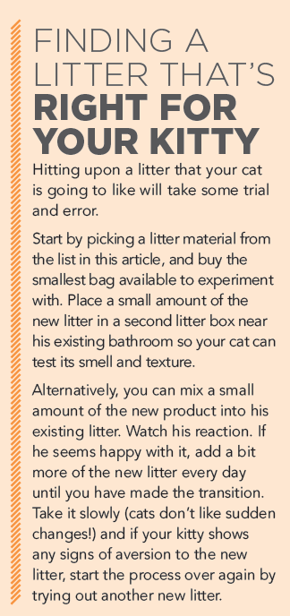 Choosing the Best Cat Litter: A Guide to Happy, Healthy Cats