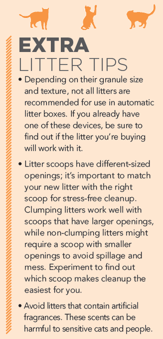 Choosing the Best Cat Litter: A Guide to Happy, Healthy Cats
