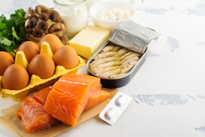 Ensure Your Dog or Cat Gets Adequate Vitamin D: A Guide to Testing and Supplementation
