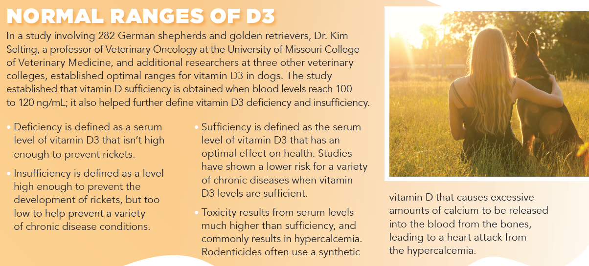 Ensure Your Dog or Cat Gets Adequate Vitamin D: A Guide to Testing and Supplementation