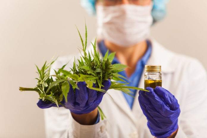 CBD: A Promising Solution for Managing Pet Pain