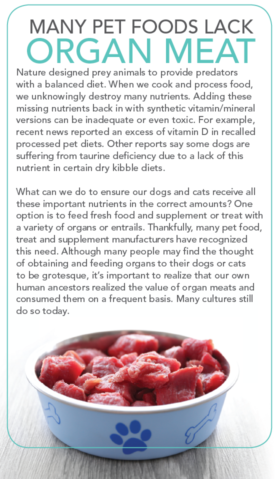 Organ Meats: The Essential Superfoods Your Dog & Cat Needs