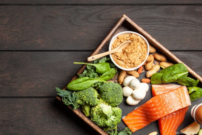 Can a Keto Diet Help Dogs and Cats Fight Cancer?