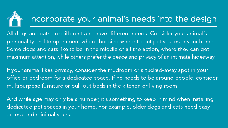Design Your Home with Dedicated Pet Spaces: 5 Expert Ideas