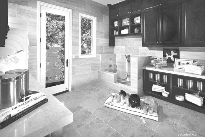 Design Your Home with Dedicated Pet Spaces: 5 Expert Ideas