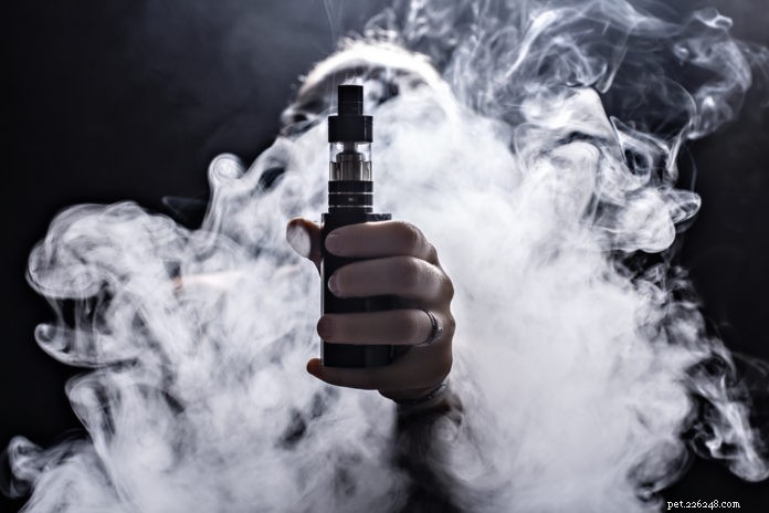 Vaping and Your Pets: What Every Owner Needs to Know