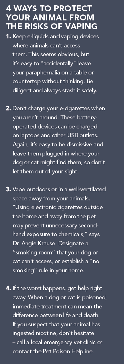 Vaping and Your Pets: What Every Owner Needs to Know