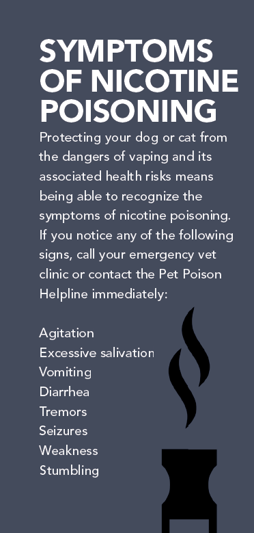 Vaping and Your Pets: What Every Owner Needs to Know