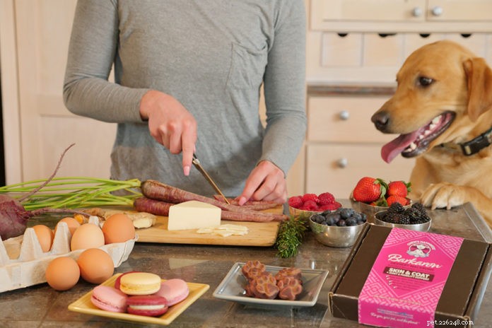 5 Essential Factors When Choosing Healthy Pet Treats