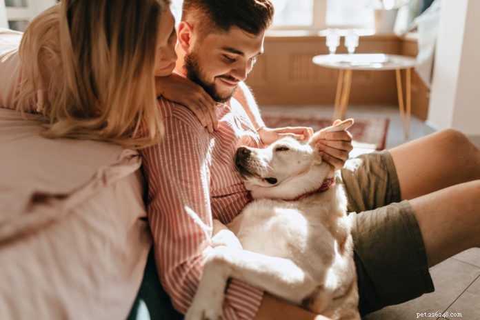 7 Essential Tips to Keep Your Dog or Cat Healthy During COVID-19