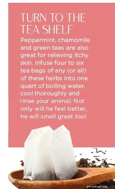 Proven Herbal Solutions to Relieve Your Pet’s Itchy Skin