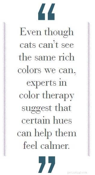 Boost Your Cat s Health & Happiness with Sensory Enrichment