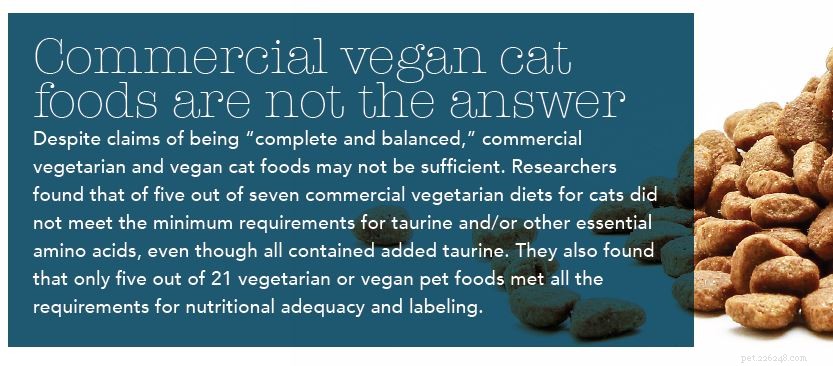 The Essential Role of Meat in a Cat’s Diet: Why They Need It