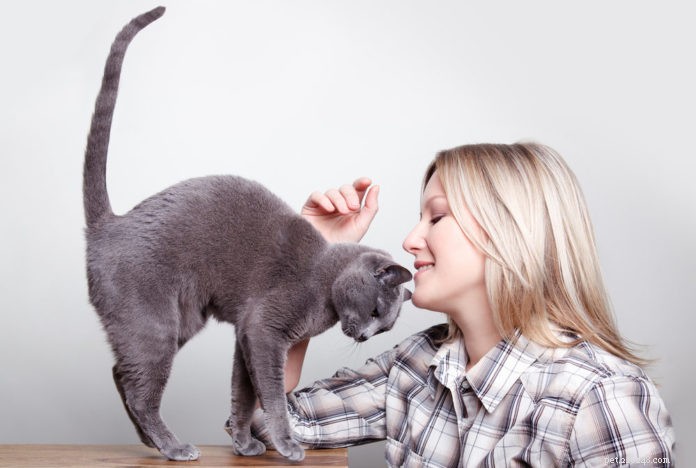 Do Cats Really Know Their Names? New Study Reveals the Truth