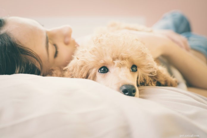 Managing Compassion Fatigue: Protecting Animal Care Professionals  Well-Being