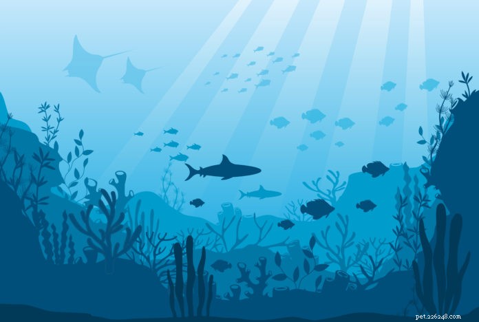 Seaweed Superfoods: Nutrient Powerhouses for Dogs and Cats