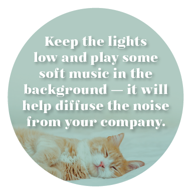 Keeping Your Cat Calm During Holiday Gatherings