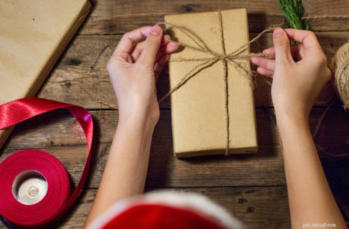 Five Creative DIY Gifts for Animal Lovers This Holiday Season