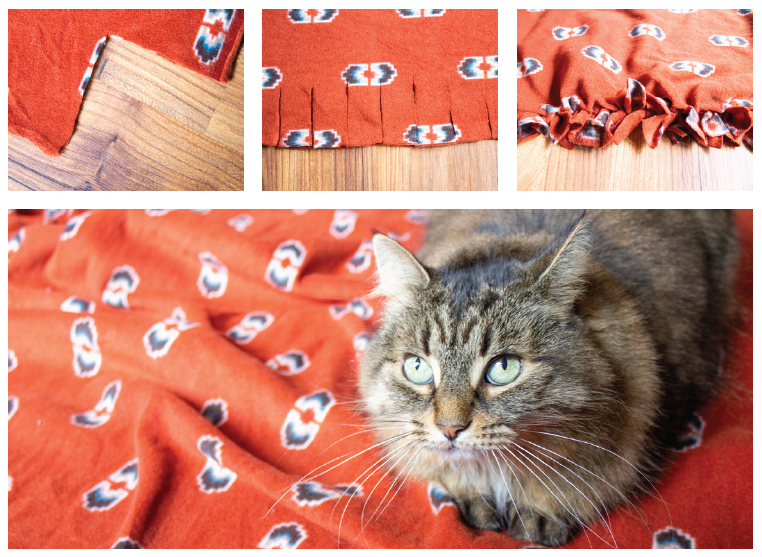Five Creative DIY Gifts for Animal Lovers This Holiday Season