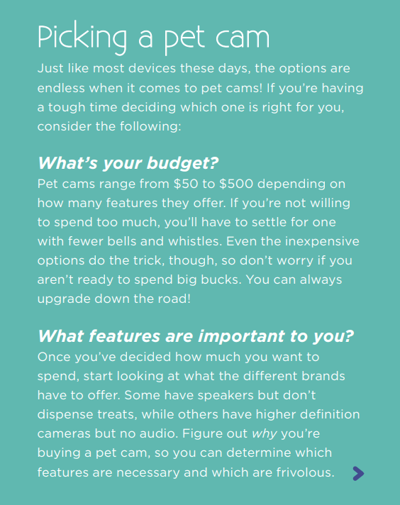 Why Pet Cameras Are Trending: Benefits, Features, and How to Pick the Right One