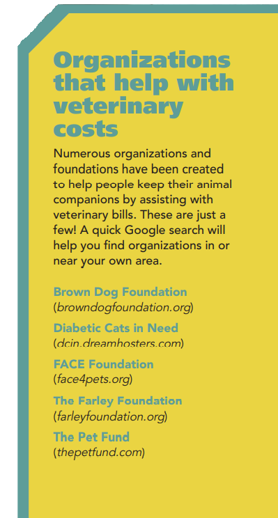 Navigating Veterinary Costs When Funds Are Tight