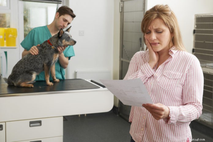 Navigating Veterinary Costs When Funds Are Tight