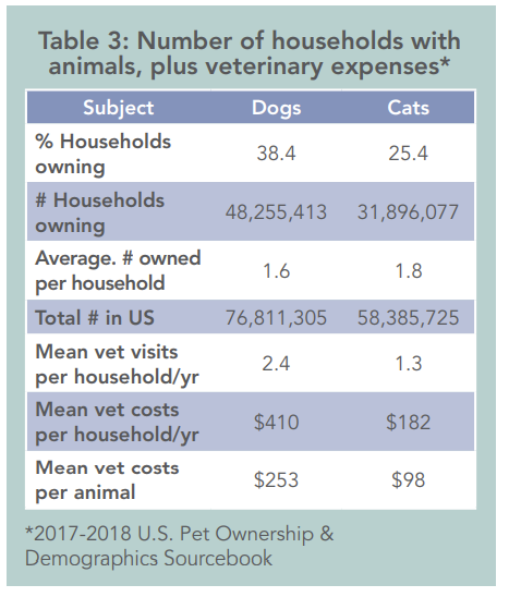 Top 10 Common Health Issues in Dogs & Cats – Vet‑Backed Insights