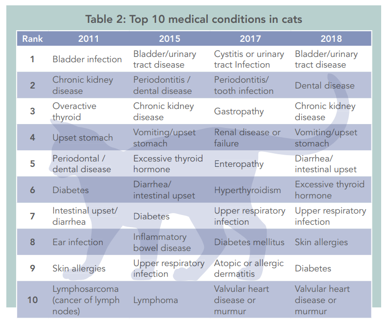 Top 10 Common Health Issues in Dogs & Cats – Vet‑Backed Insights