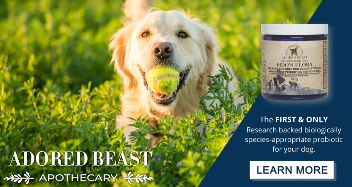Revolutionizing Pet Health: Next‑Gen Probiotics for Dogs & Cats
