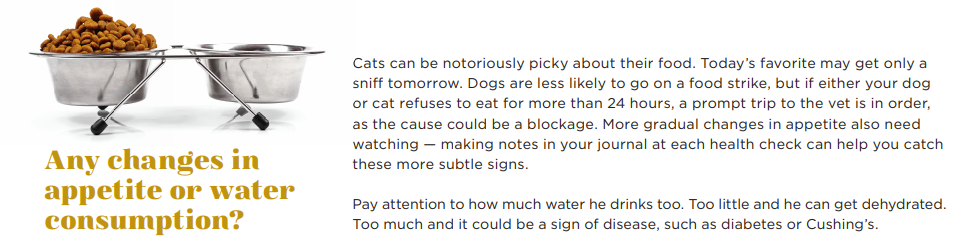 How to Perform a Comprehensive At-Home Health Check for Your Dog or Cat