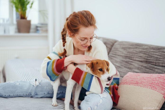 How to Perform a Comprehensive At-Home Health Check for Your Dog or Cat